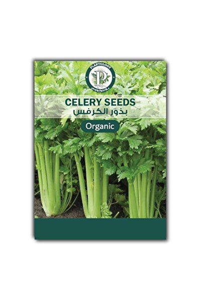 Generic Celery Seeds for Planting – Celery Seeds for Planting in Home Garden,...