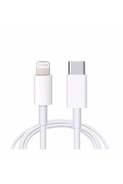 type-c to lightning