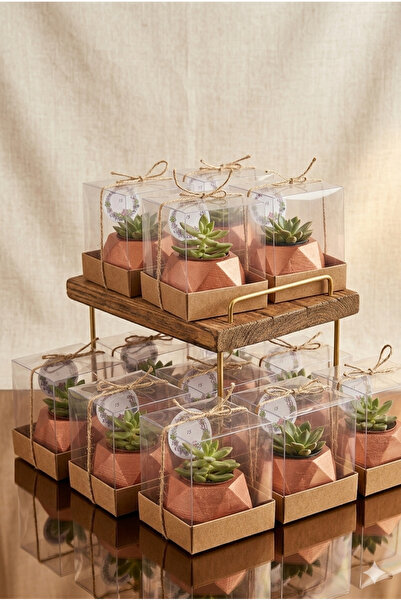 ORGANİZASYON HEDİYEM 10 Adet Asetad Kutulu Doğum-doğum Günü-baby Shower-40 Uç...