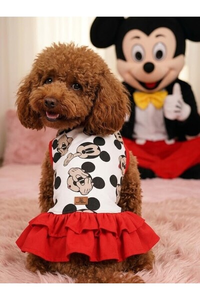 Peti Tailor Köpek Elbisesi Mickey Desenli Fırfırlı İnce Yazlık Kedi Kıyafeti