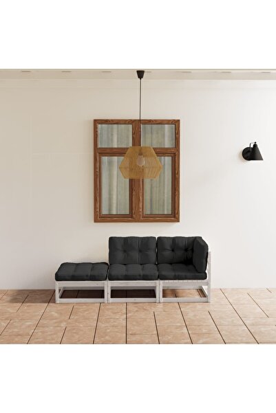 Concept Set mobilier de grădină cu perne, 3 piese, lemn masiv de pin