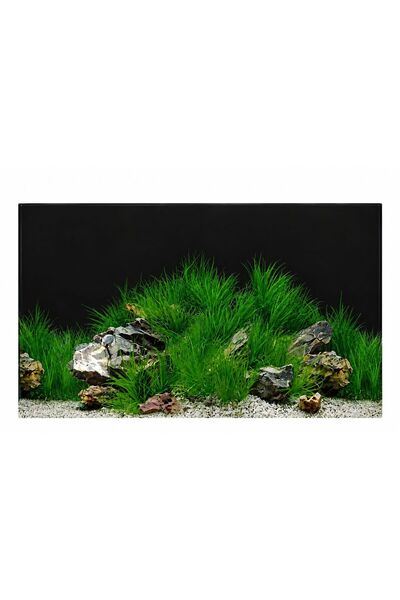 canlipetshop Arka Fon No:9022 Yeşillik 50 cm Uzunluk (50 cm Yükseklik)