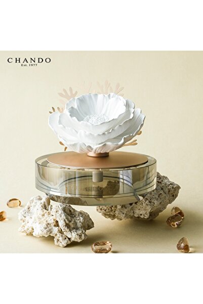 OEMS Seaside Dream Blossoms