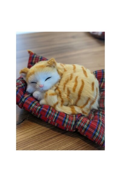 GiFi Peluş Yavru Kedi Oyuncak Minder Üstünde Uyuyan Kedi Orta Boy