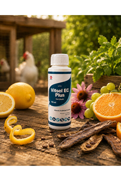 AnkaVet Güvercin Tavuk Papağan Kanarya Muhabbet Kuşu Ve Kanatlı Kuş E Vitamin...