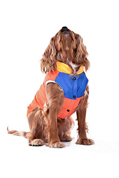 Petza Küçük ve Orta Irk Köpek Mont Murpota Turuncu