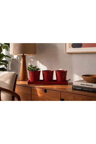 Feronyahome & Garden Tepsili Kova Saksılık  3'lü