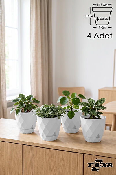 ToXA 4 Adet Küçük Boy Yakamoz Saksı No1 Seti 0.65 Litre Beyaz