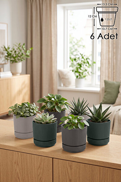 ToXA 6 Adet Pera Kare Saksı No2 1,2 Litre Çok Renkli 13,3cm Küçük Boy Plastik...