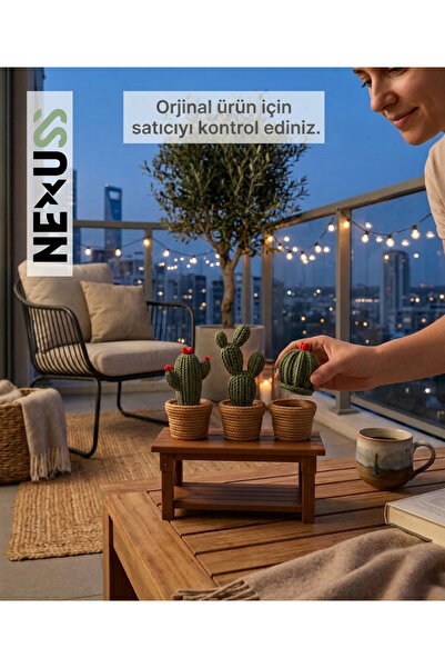 NEXUSS DESIGN Dekoratif Kaktüs Seti Gizli Bölmeli – Masa ve Balkon Dekorasyon...