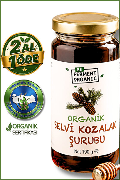 BE FERMENT Organik Selvi Kozalağı Şurubu 190 Gram