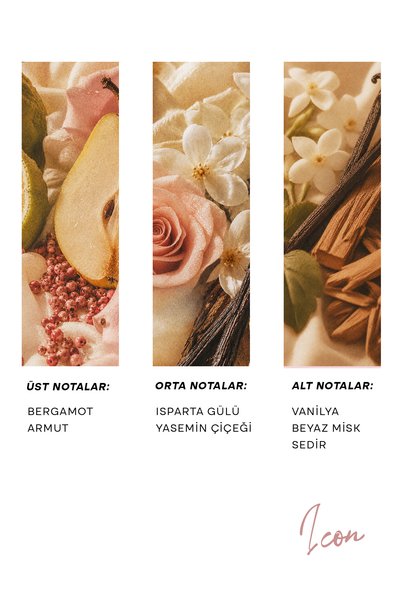 h.OLA Icon Exrait de Parfum | Kadın Parfümü 100 mL
