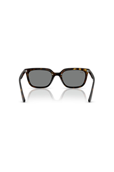 Ray-Ban 0RB4439D 710-87 54