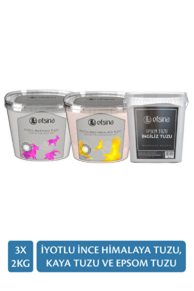 Efsina 3'lü Paket 2 Kg İyotlu İnce Himalaya ve Kaya Tuzu Epsom Tuzu 1250 gr