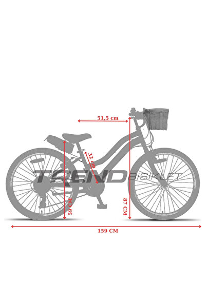 Trendbisiklet Retro Classic 24 Jant 21 Vites - Vintage Bisiklet Pembe