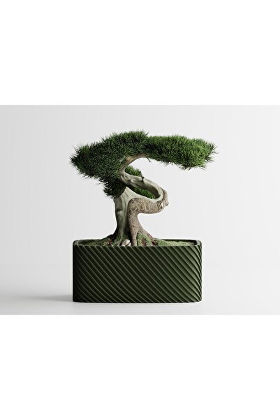 Sani Ghiveci decorativ Sani, Bonsai, mic 164 x 64 x 50 mm, Verde închis mat
