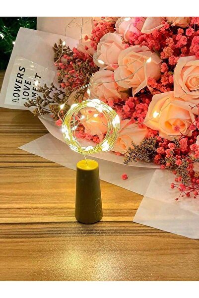 Choice1 5PC Warm white 2PC/5PC/10PC 2M20LED Warm White Wine Bottle Stopper La...
