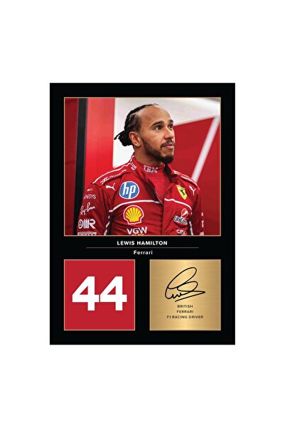 ALAYRA International Alayra Framed Wall Art Lewis Hamilton Ferrari Racing Sig...