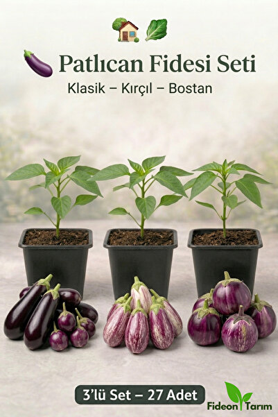 Fideon 🍆 Patlıcan Fidesi Seti | Klasik – Kırçıl – Bostan | 3’lü Set – 27 Adet