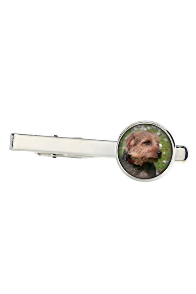 Art - Dog Norfolk Terrier - ac de cravată, ornament, bijuterii pentru o ținut...