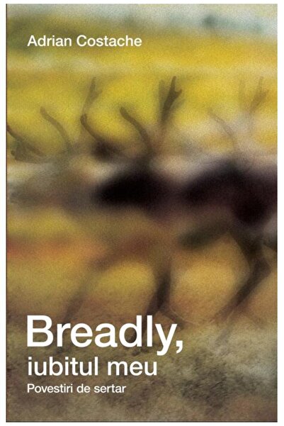 Editura Art Breadly, iubitul meu. Povestiri de sertar