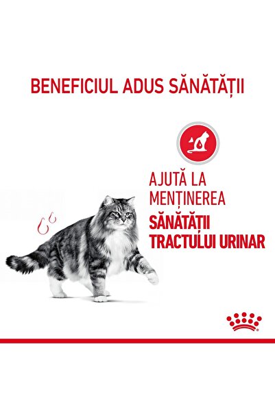 Royal Canin Hrană umedă pentru pisici adulte, pentru îngrijirea tractului uri...