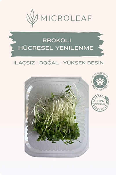 MICROLEAF Brokoli Mikro Yeşillik - Hücresel Yenilenme Yüksek Sülforafan Kayna...