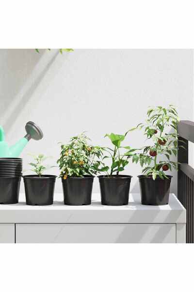 vidaxl Ghiveci rotund pentru flori 50 pcs Negru Ã˜ 10 x 8 cm Plastic