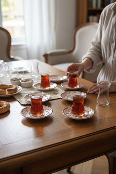 Akayev Porcelain Vintage Maroon 6 Piece Tea Plate Set