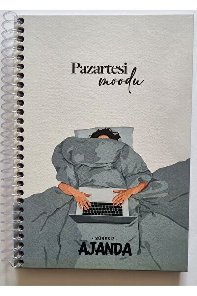Modellino Spiralli Tarihsiz Sonsuz Ajanda Sticker Bulmaca Grafikler Motivasyo...