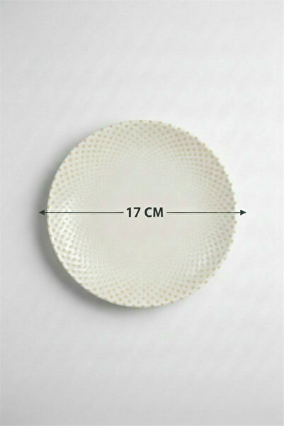 rinart 12-Pack Valencia Flat Plate 17cm Digital Punto