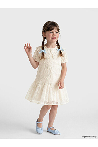 LC Waikiki Nevavm Farklı Bebe Yaka Girl's Lace Dress