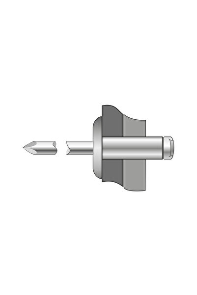 BRALO Set 200 x Pop-nituri Cap Lat Aluminiu / Aluminiu-4.8 X 21