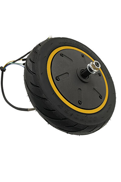 RASPORT Motor 350W pentru Max G30 (Max-10C)