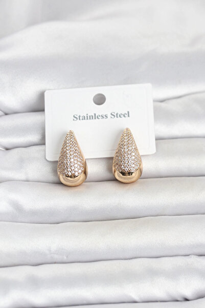 Clariss 316L Steel Gold Color Zircon Stone Drop Model Women's Earrings
