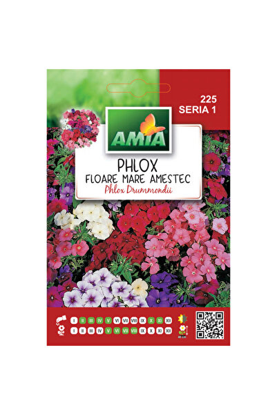 Amia Seminte de flori Phlox grand fleur amestec, 0,5 g