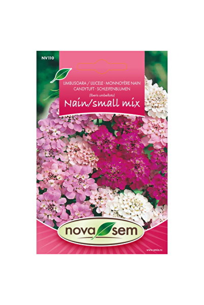 Novasem Seminte de flori Limbusoara/Lilicele pitice amestec Novasem, 0,75 g