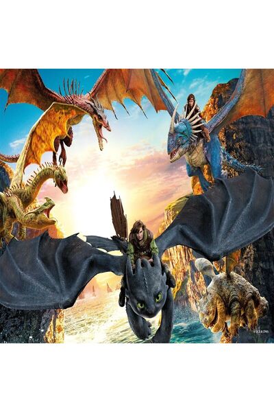 Angel Of Life Hd 714 How to Train Your Dragon Puzzle 100 Pieces