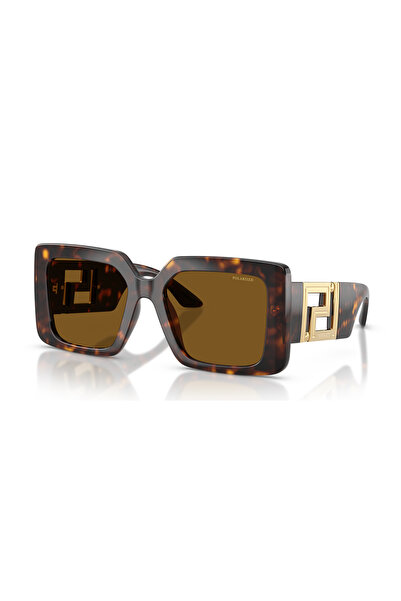 Versace Brown Women's Sunglasses 0Ve4505U55108/83