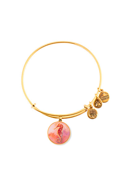 Alex and Ani Bratara Metal A16EB32YG