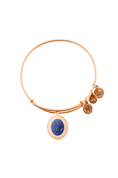 Alex and Ani Bratara Metal A15EB66YG