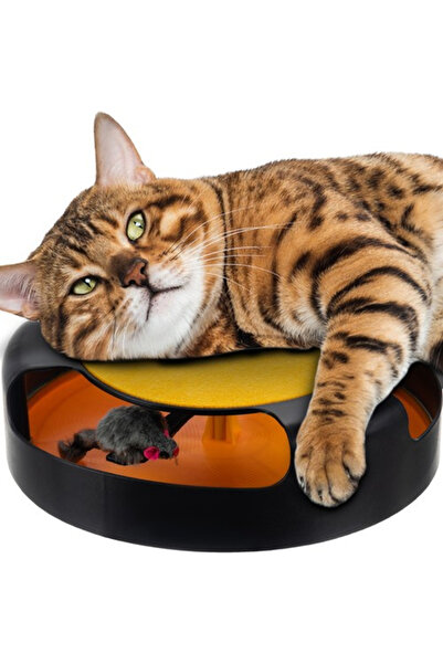 Purlov Interactive Cat Toy Track with Mouse and Scratching Pad