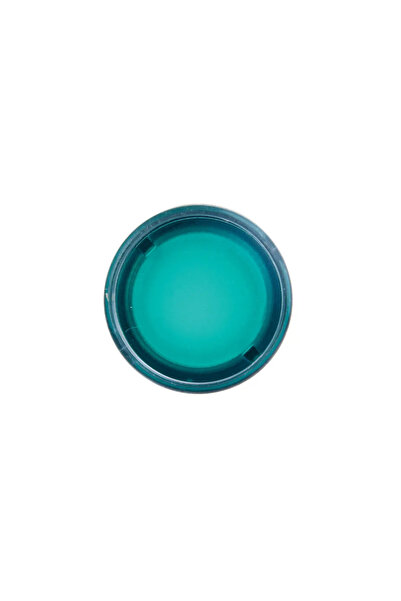 Schneider Electric Buton verde cu iluminare cu revenire automată ZB4BW33