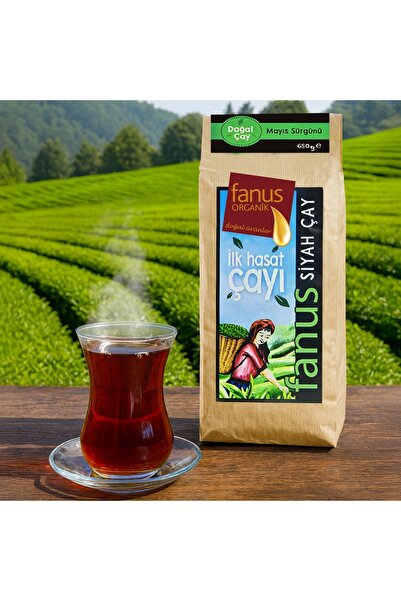 Fanus İlk Hasat Çayı 650g