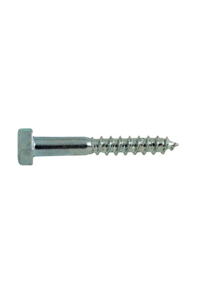 Rocast Set 100 x Holsurub Cap Hexagonal DIN 571 Otel Zincat 10 x 45