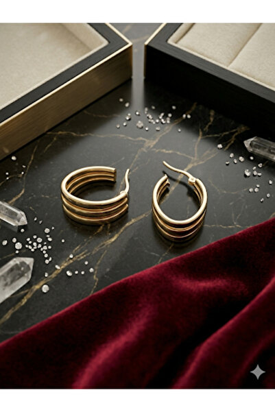 Bozhi Earrings Steel Gold Special Gift