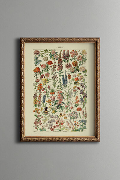 epiqart رسومات نباتية زهرية - إطار بنمط عتيق - نموذج رفيع