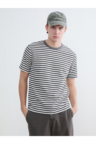LC Waikiki Vizyon New Season Crew Neck Striped Men's T-Shirt