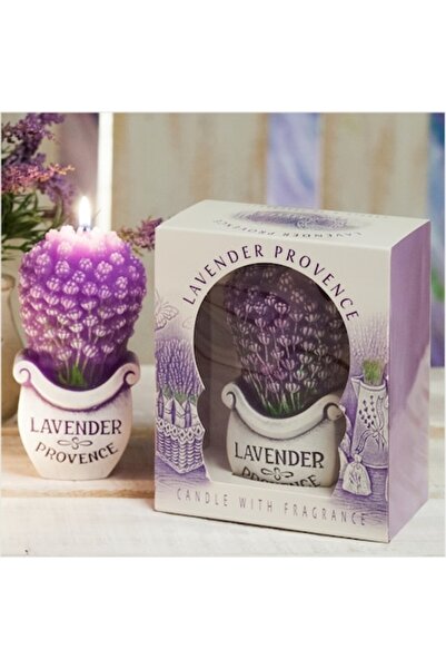 Bartek Candles Lumânare parfumată Buchet de lavandă în cutie cadou cu aromă i...
