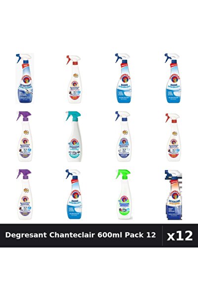 Chanteclair Pack 12 Degresant Universal 600ml - 9 Arome, Detartrant, Anticalcar